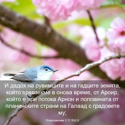 Picture 03 - Второзаконие 3:12 BULG - И дадох на рувимците и на - Bible Verse Picture