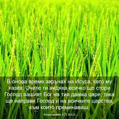Picture 03 - Второзаконие 3:21 BULG - В онова време заръчах на - Bible Verse Picture