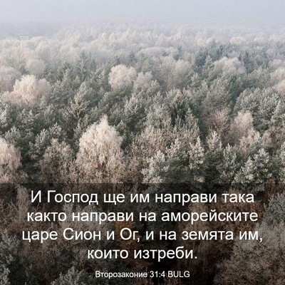 Picture 03 - Второзаконие 31:4 BULG - И Господ ще им направи така - Bible Verse Picture