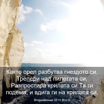 Picture 03 - Второзаконие 32:11 BULG - Както орел разбутва - Bible Verse Picture