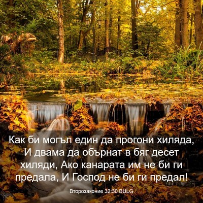 Picture 03 - Второзаконие 32:30 BULG - Как би могъл един да - Bible Verse Picture