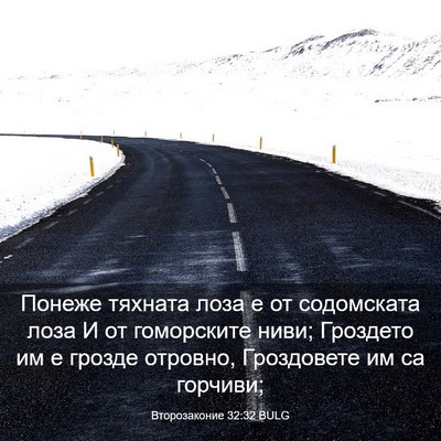 Picture 03 - Второзаконие 32:32 BULG - Понеже тяхната лоза е от - Bible Verse Picture