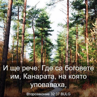 Picture 03 - Второзаконие 32:37 BULG - И ще рече: Где са боговете - Bible Verse Picture