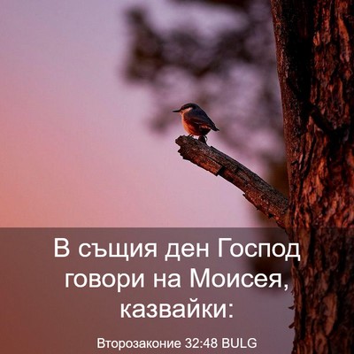 Picture 03 - Второзаконие 32:48 BULG - В същия ден Господ говори - Bible Verse Picture