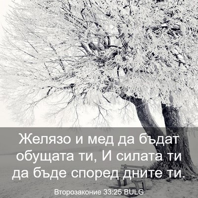 Picture 03 - Второзаконие 33:25 BULG - Желязо и мед да бъдат - Bible Verse Picture