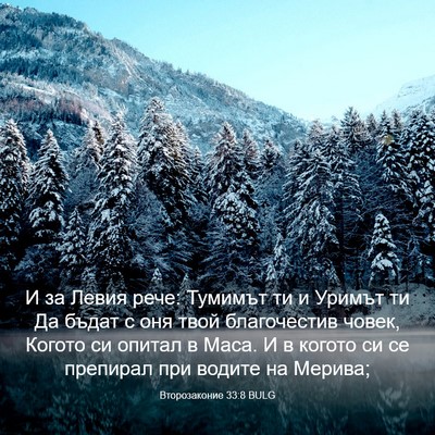 Picture 03 - Второзаконие 33:8 BULG - И за Левия рече: Тумимът ти - Bible Verse Picture