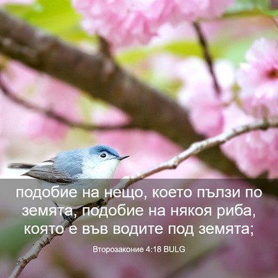 Picture 03 - Второзаконие 4:18 BULG - подобие на нещо, което - Bible Verse Picture