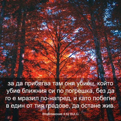 Picture 03 - Второзаконие 4:42 BULG - за да прибягва там оня - Bible Verse Picture