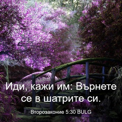 Picture 03 - Второзаконие 5:30 BULG - Иди, кажи им: Върнете се в - Bible Verse Picture