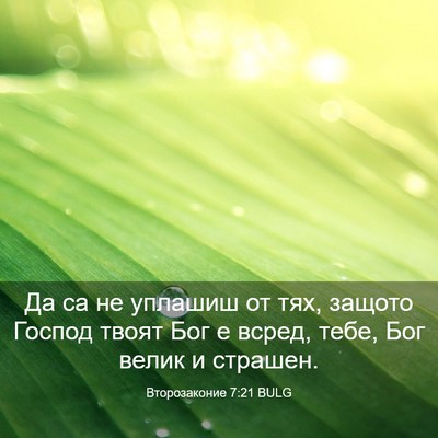 Picture 03 - Второзаконие 7:21 BULG - Да са не уплашиш от тях, - Bible Verse Picture