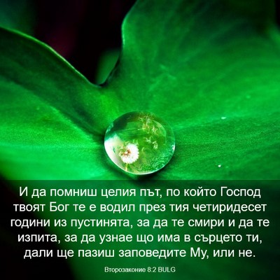 Picture 03 - Второзаконие 8:2 BULG - И да помниш целия път, по - Bible Verse Picture