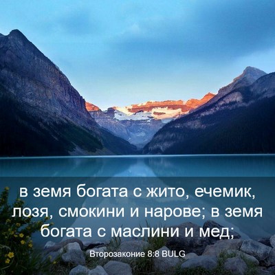 Picture 03 - Второзаконие 8:8 BULG - в земя богата с жито, - Bible Verse Picture