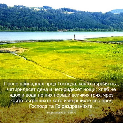 Picture 03 - Второзаконие 9:18 BULG - После припаднах пред - Bible Verse Picture
