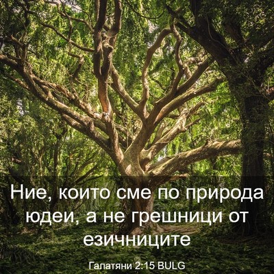 Picture 03 - Галатяни 2:15 BULG - Ние, които сме по природа - Bible Verse Picture