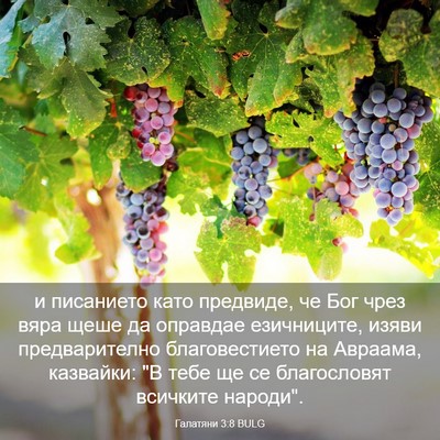 Picture 03 - Галатяни 3:8 BULG - и писанието като предвиде, - Bible Verse Picture
