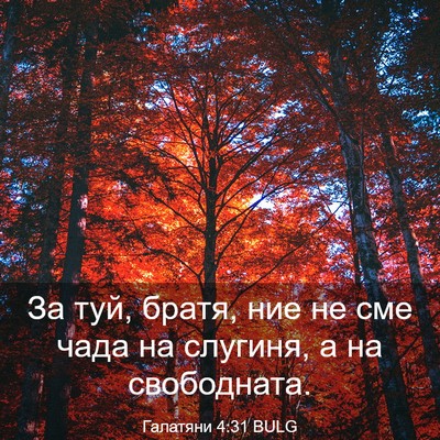 Picture 03 - Галатяни 4:31 BULG - За туй, братя, ние не сме - Bible Verse Picture