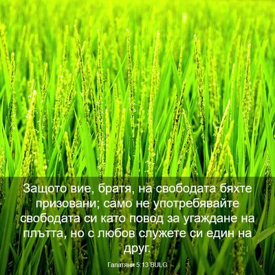 Picture 03 - Галатяни 5:13 BULG - Защото вие, братя, на - Bible Verse Picture