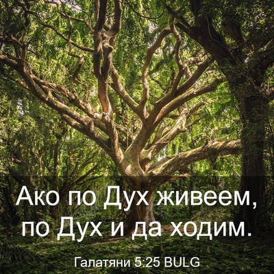 Picture 03 - Галатяни 5:25 BULG - Ако по Дух живеем, по Дух и - Bible Verse Picture
