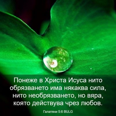 Picture 03 - Галатяни 5:6 BULG - Понеже в Христа Исуса нито - Bible Verse Picture