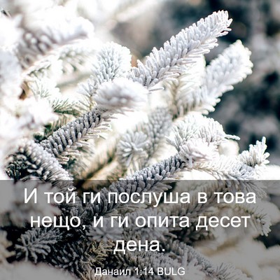 Picture 03 - Данаил 1:14 BULG - И той ги послуша в това - Bible Verse Picture