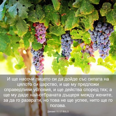 Picture 03 - Данаил 11:17 BULG - И ще насочи лицето си да - Bible Verse Picture