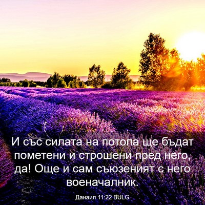Picture 03 - Данаил 11:22 BULG - И със силата на потопа ще - Bible Verse Picture