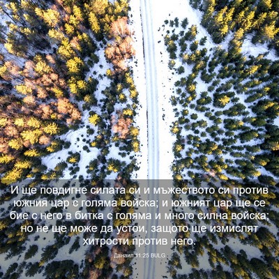 Picture 03 - Данаил 11:25 BULG - И ще повдигне силата си и - Bible Verse Picture