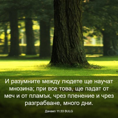 Picture 03 - Данаил 11:33 BULG - И разумните между людете - Bible Verse Picture