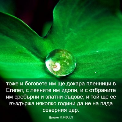 Picture 03 - Данаил 11:8 BULG - тоже и боговете им ще - Bible Verse Picture