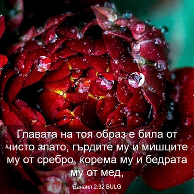 Picture 03 - Данаил 2:32 BULG - Главата на тоя образ е била - Bible Verse Picture
