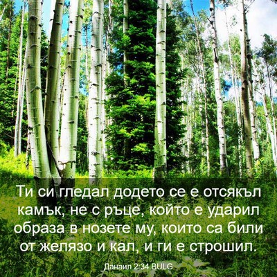 Picture 03 - Данаил 2:34 BULG - Ти си гледал додето се е - Bible Verse Picture