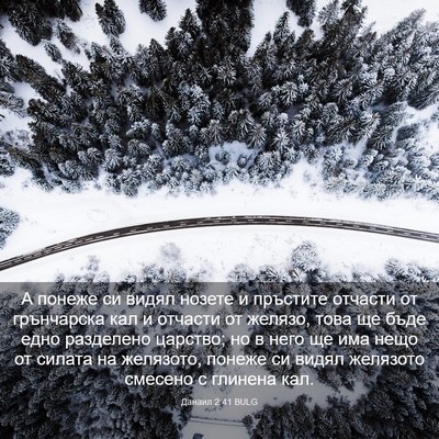 Picture 03 - Данаил 2:41 BULG - А понеже си видял нозете и - Bible Verse Picture