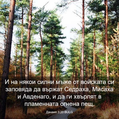 Picture 03 - Данаил 3:20 BULG - И на някои силни мъже от - Bible Verse Picture