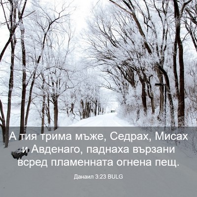 Picture 03 - Данаил 3:23 BULG - А тия трима мъже, Седрах, - Bible Verse Picture