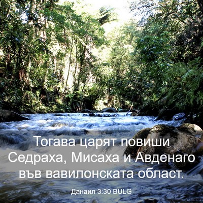 Picture 03 - Данаил 3:30 BULG - Тогава царят повиши - Bible Verse Picture