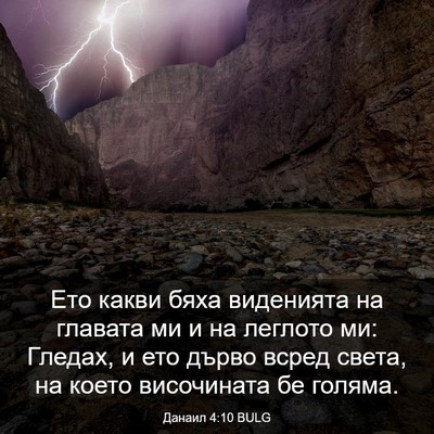Picture 03 - Данаил 4:10 BULG - Ето какви бяха виденията - Bible Verse Picture