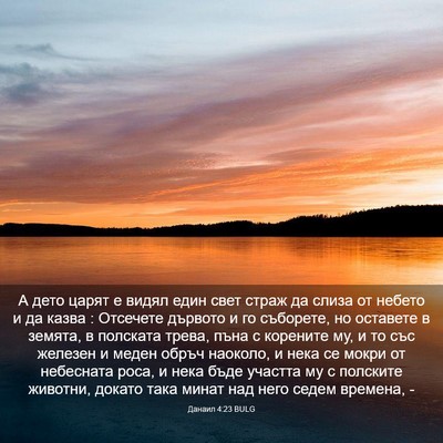 Picture 03 - Данаил 4:23 BULG - А дето царят е видял един - Bible Verse Picture