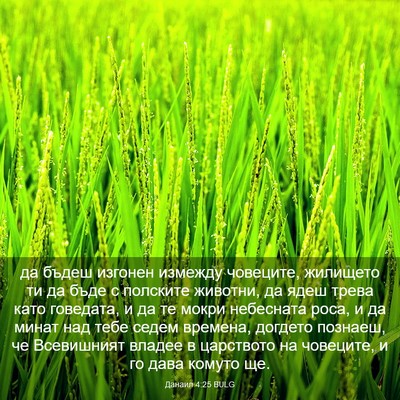 Picture 03 - Данаил 4:25 BULG - да бъдеш изгонен измежду - Bible Verse Picture