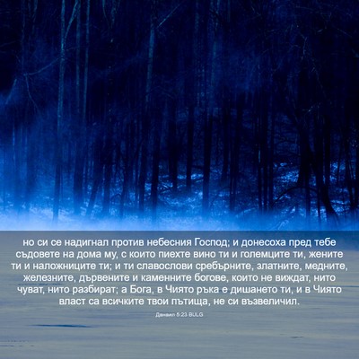 Picture 03 - Данаил 5:23 BULG - но си се надигнал против - Bible Verse Picture