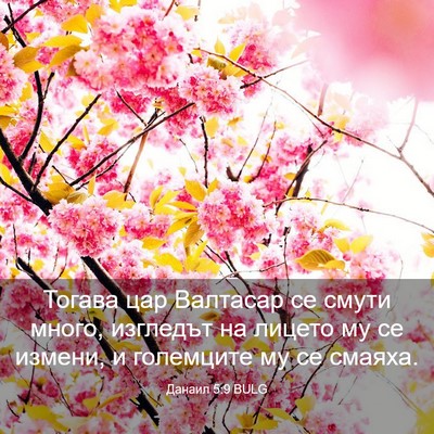 Picture 03 - Данаил 5:9 BULG - Тогава цар Валтасар се - Bible Verse Picture