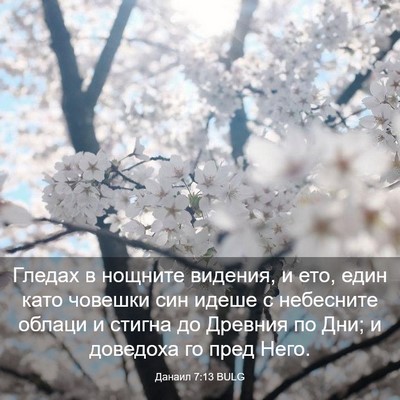 Picture 03 - Данаил 7:13 BULG - Гледах в нощните видения, и - Bible Verse Picture