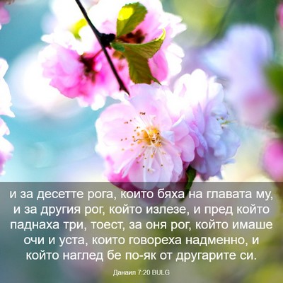 Picture 03 - Данаил 7:20 BULG - и за десетте рога, които - Bible Verse Picture