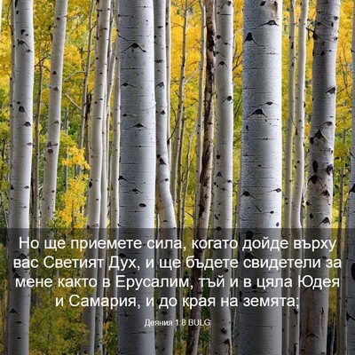 Picture 03 - Деяния 1:8 BULG - Но ще приемете сила, когато - Bible Verse Picture