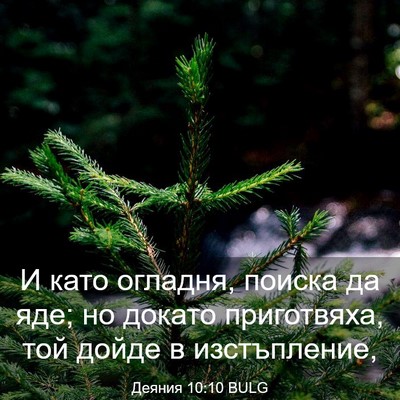 Picture 03 - Деяния 10:10 BULG - И като огладня, поиска да - Bible Verse Picture