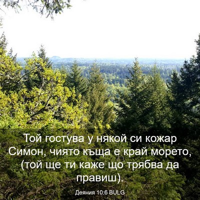 Picture 03 - Деяния 10:6 BULG - Той гостува у някой си - Bible Verse Picture
