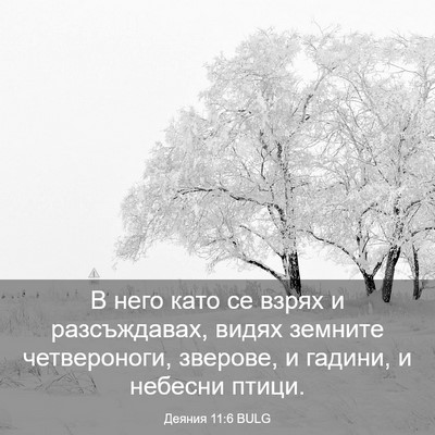 Picture 03 - Деяния 11:6 BULG - В него като се взрях и - Bible Verse Picture