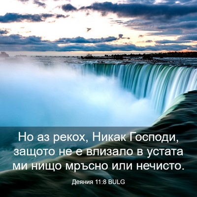 Picture 03 - Деяния 11:8 BULG - Но аз рекох, Никак Господи, - Bible Verse Picture