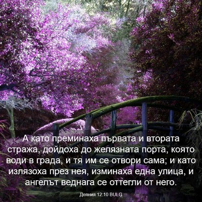 Picture 03 - Деяния 12:10 BULG - А като преминаха първата и - Bible Verse Picture