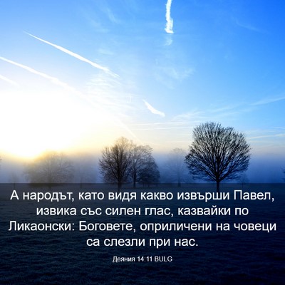 Picture 03 - Деяния 14:11 BULG - А народът, като видя какво - Bible Verse Picture