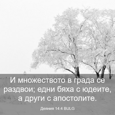 Picture 03 - Деяния 14:4 BULG - И множеството в града се - Bible Verse Picture